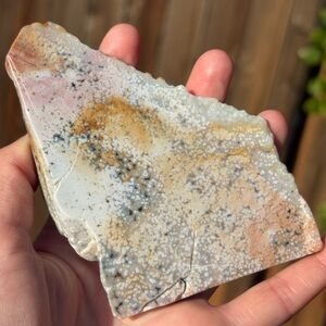 Large Ocean Jasper Polished Slab Grey, Pink, Yellow, and Orange Hues